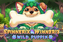 Spinnerix Winnerix